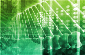 Medical Genetics