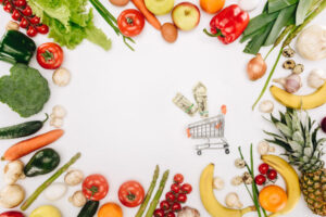 Budget Nutrition Hollywood Florida
