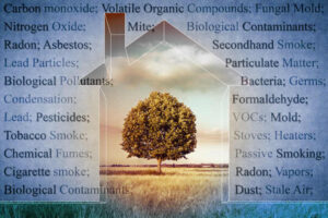 environmental mold testing