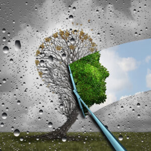 Reverse the Aging Process Illustration