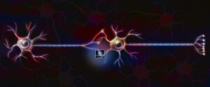 Nerve impulse illustration