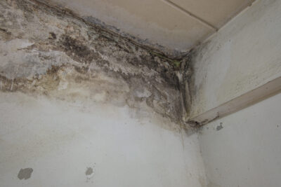 mold from water damage on ceiling