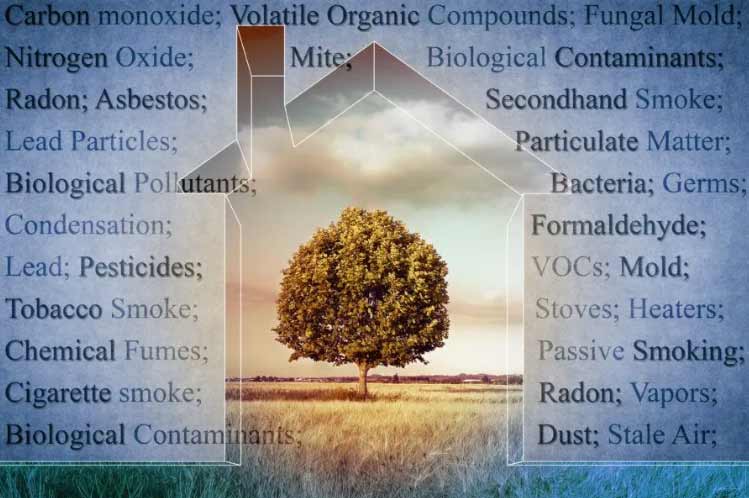 env-assesment