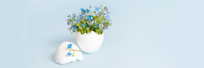 forget-me-not flowers in an eggshell