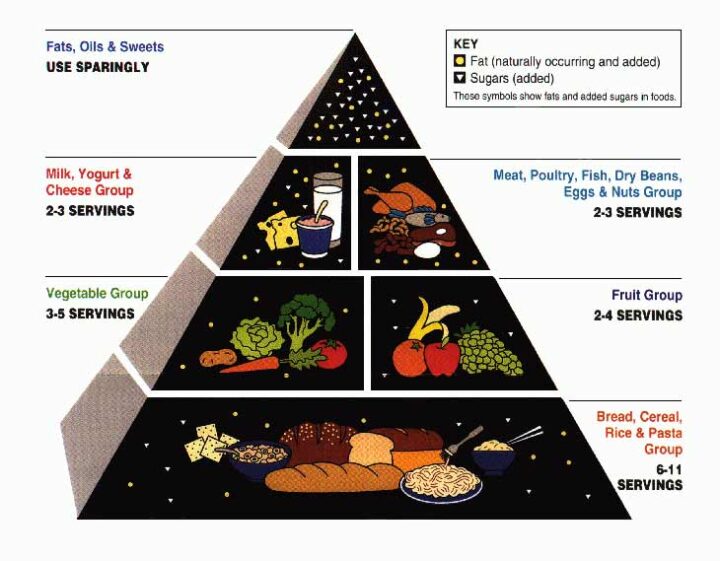 The New 2026 Food Pyramid: Upside Down is Right Side Up